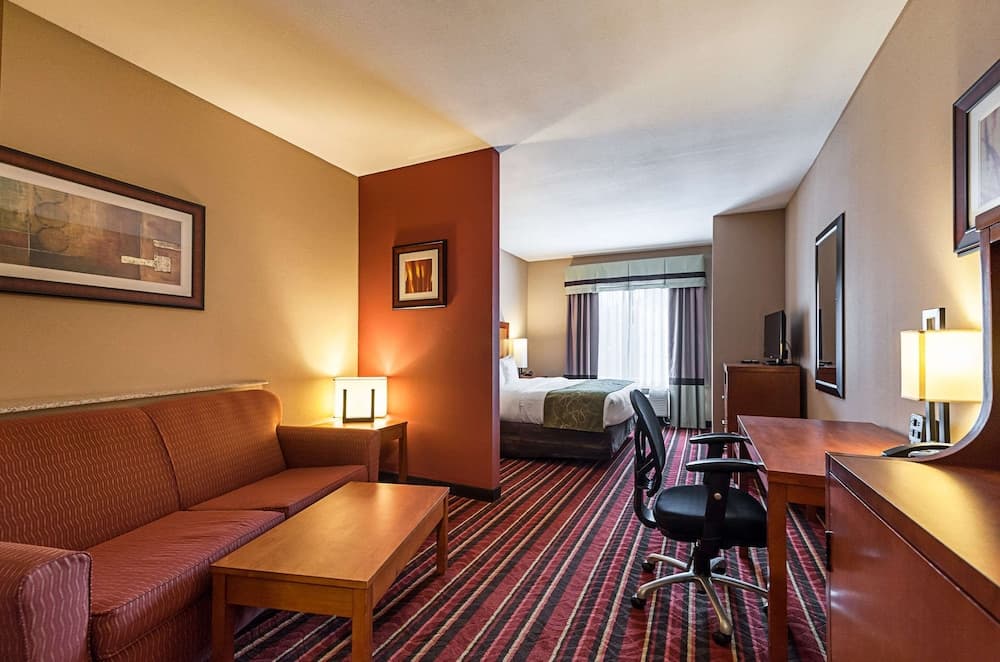 Comfort Suites Sulphur - Lake Charles interior in Sulphur, LA — gallery photo 2