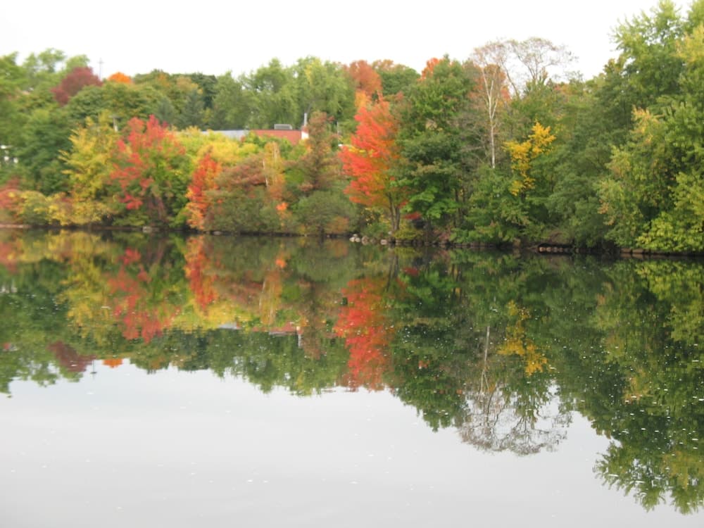 Lake Opechee Inn and Spa gallery photo in Laconia, NH — image 8