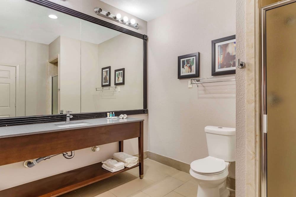 Comfort Suites Shenandoah-The Woodlands gallery photo in The Woodlands, TX — image 32