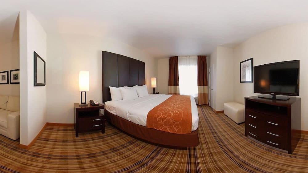 Comfort Suites Mandeville - Covington gallery photo in Mandeville, LA — image 20