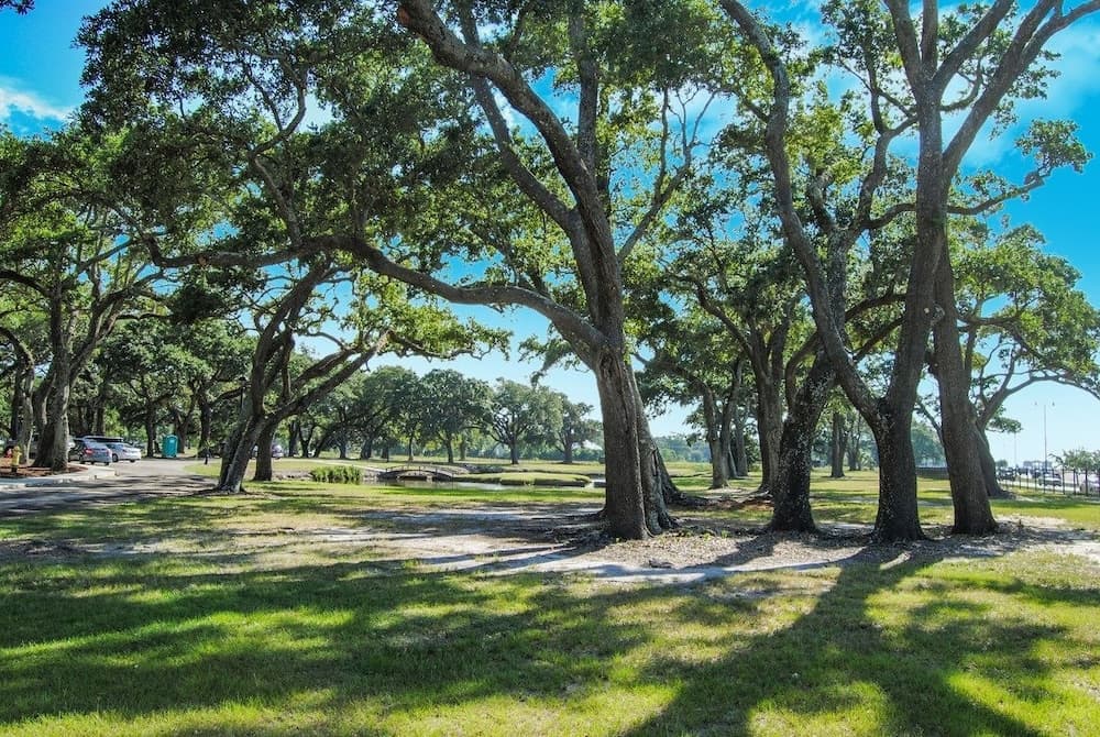Oasis Resort Gulfport gallery photo in Gulfport, MS — image 33