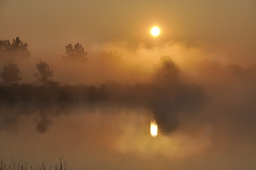 Maumee Bay Lodge and Conference Center gallery photo in Oregon, OH — image 41