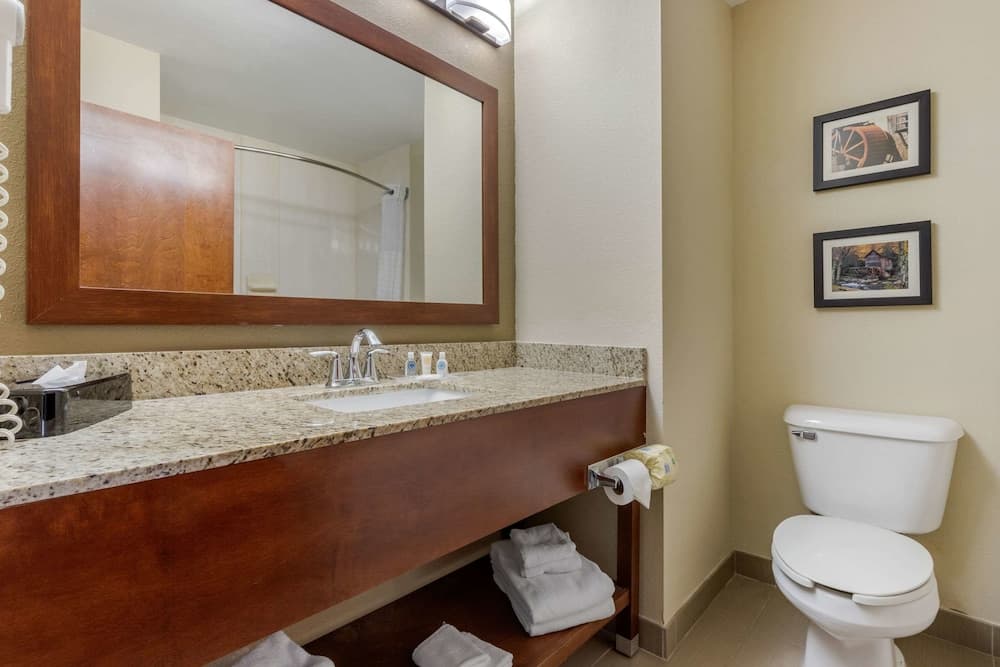 Comfort Suites Johnson City near University gallery photo in Johnson City, TN — image 31