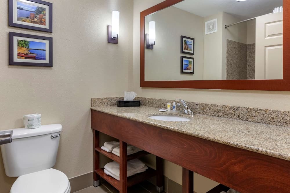 Comfort Suites Oshkosh West gallery photo in Oshkosh, WI — image 21