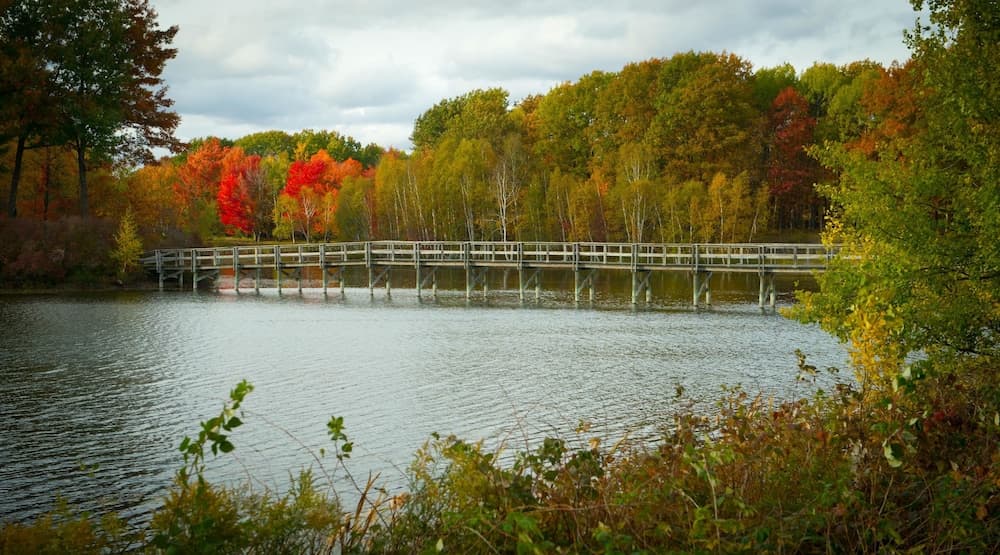 The Loon interior in Gaylord, MI — gallery photo 2