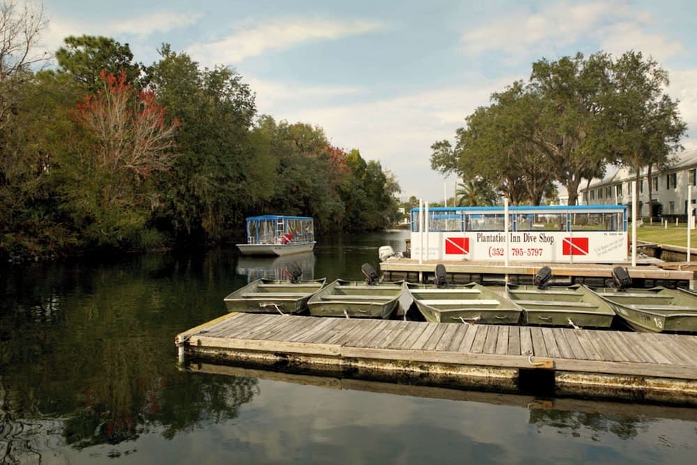 Plantation Resort on Crystal River, Ascend Hotel Collection gallery photo in Crystal River, FL — image 99