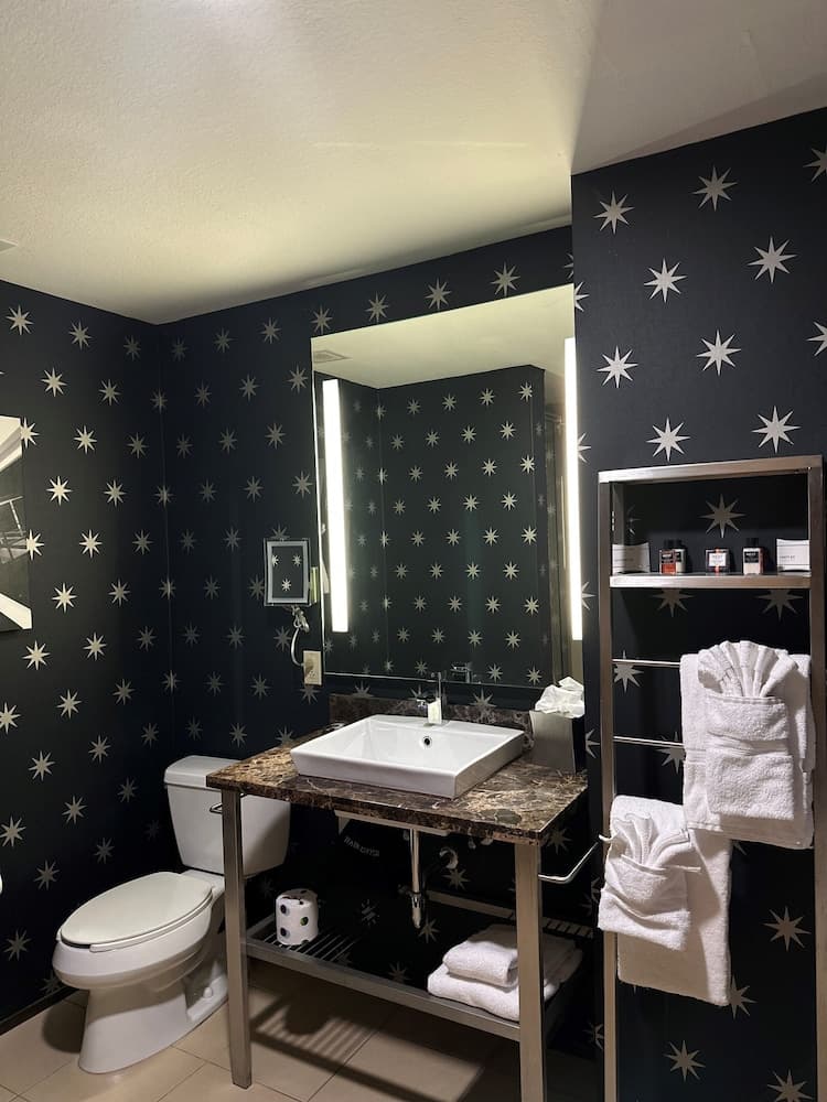 Moonrise Hotel property views in St. Louis, MO — gallery photo 3