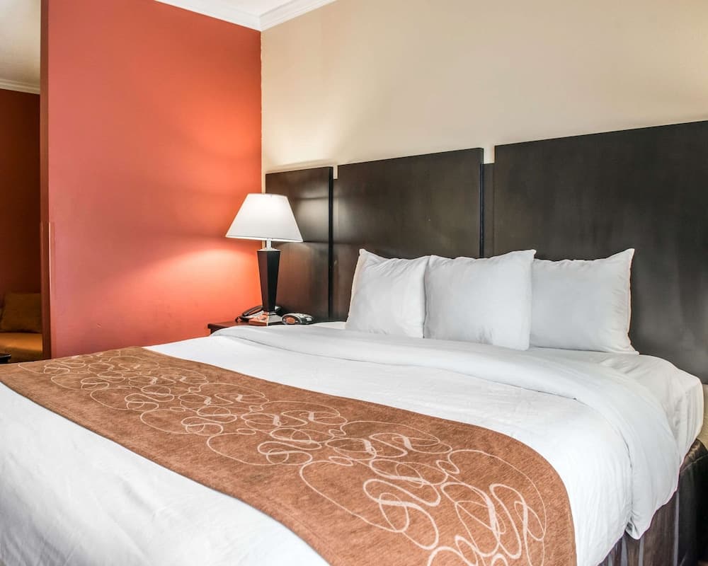 Comfort Suites gallery photo in Panama City, FL — image 11