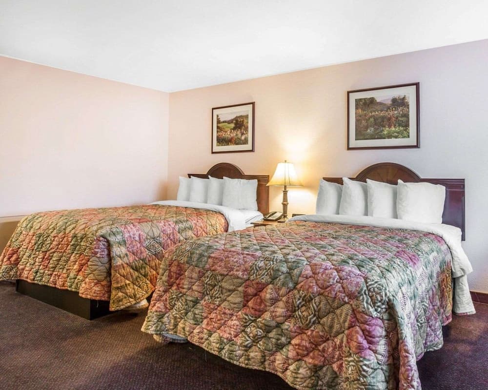 Quality Inn & Suites Cameron Park Shingle Springs gallery photo in Shingle Springs, CA — image 29
