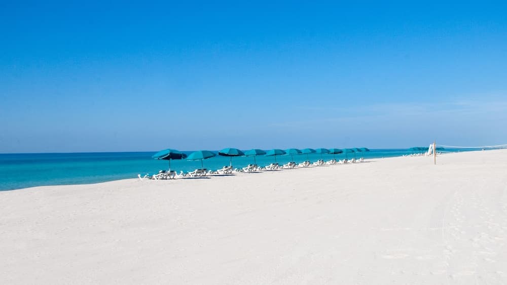 Holiday Inn Resort Panama City Beach by IHG gallery photo in Panama City Beach, FL — image 138