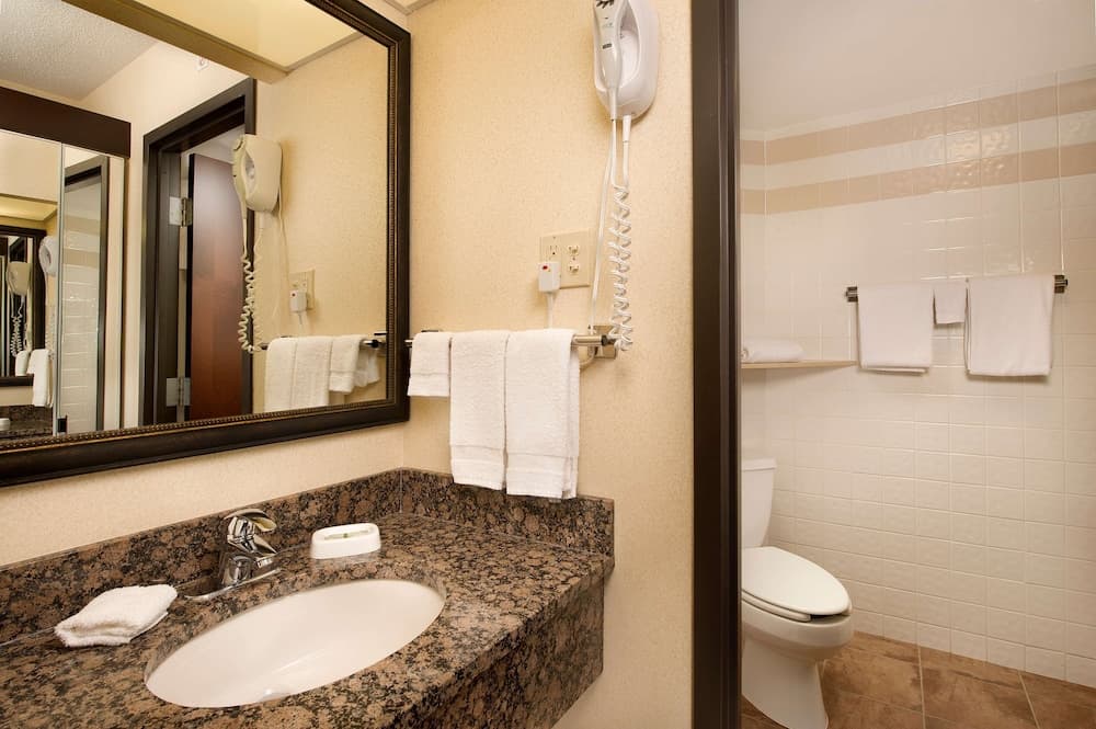 Drury Inn & Suites Springfield IL gallery photo in Springfield, IL — image 5