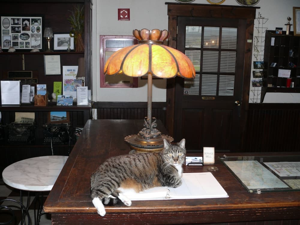 Riverview Hotel property views in St. Marys, GA — gallery photo 3