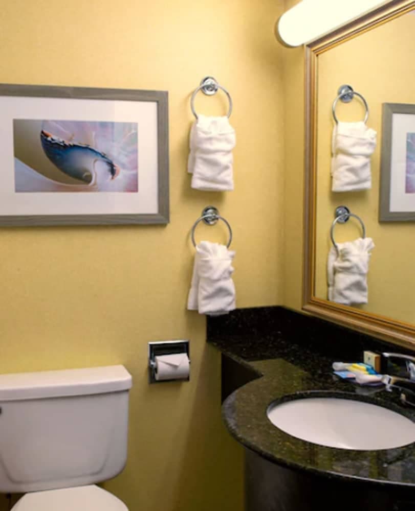 The Oceanfront Inn - Virginia Beach gallery photo in Virginia Beach, VA — image 28
