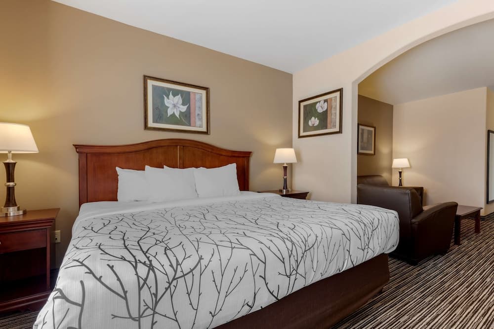 Best Western Plus Sweetwater Inn & Suites property views in Sweetwater, TX — gallery photo 3