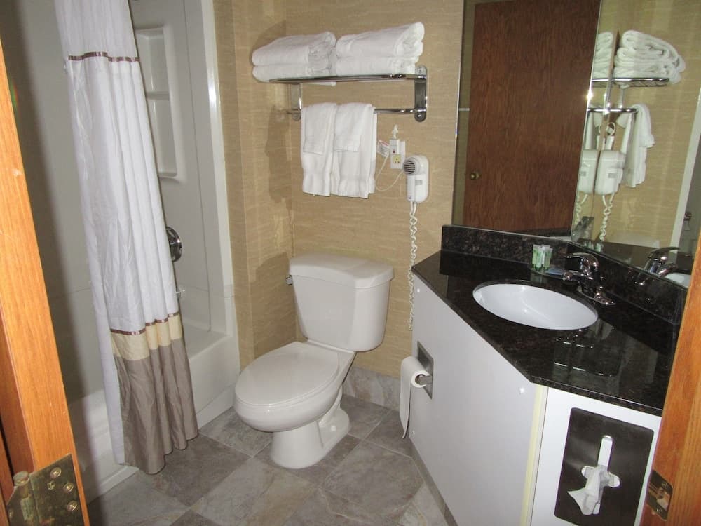 Express Suites Riverport Inn & Suites gallery photo in Winona, MN — image 8