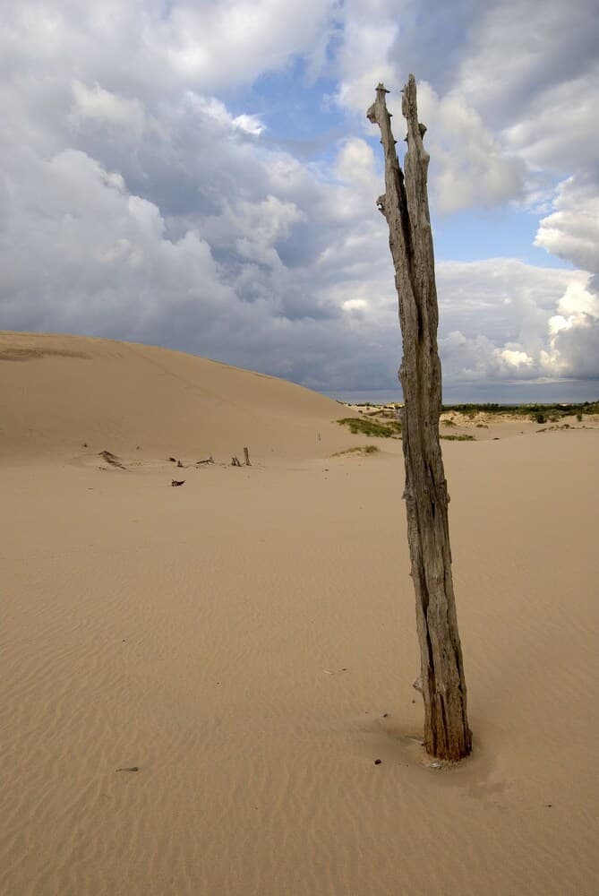 Dunes Waterfront Resort gallery photo in Mears, MI — image 65
