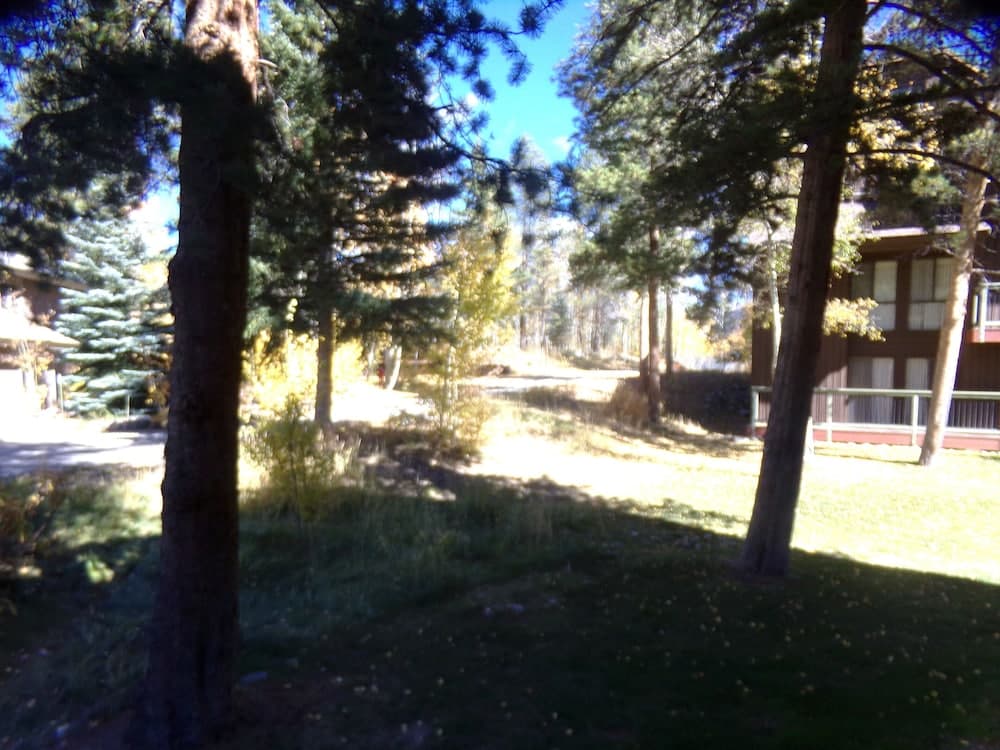 Wild Irishman 2 bed 2 bath Sleeps 9 WIBH property views in Keystone, CO — gallery photo 3
