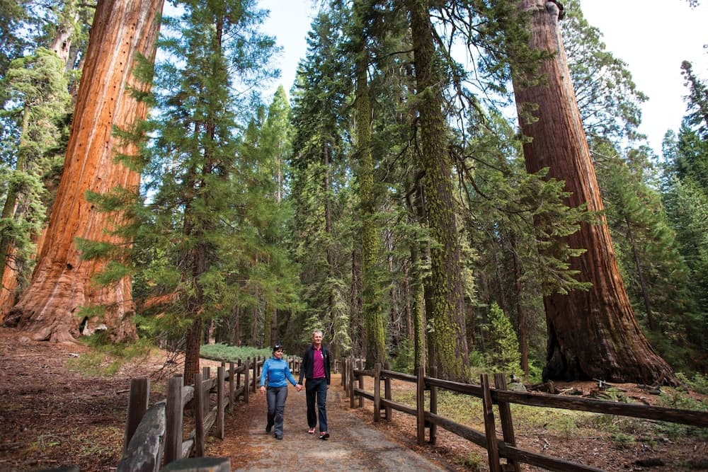 John Muir Lodge gallery photo in Hume, CA — image 40