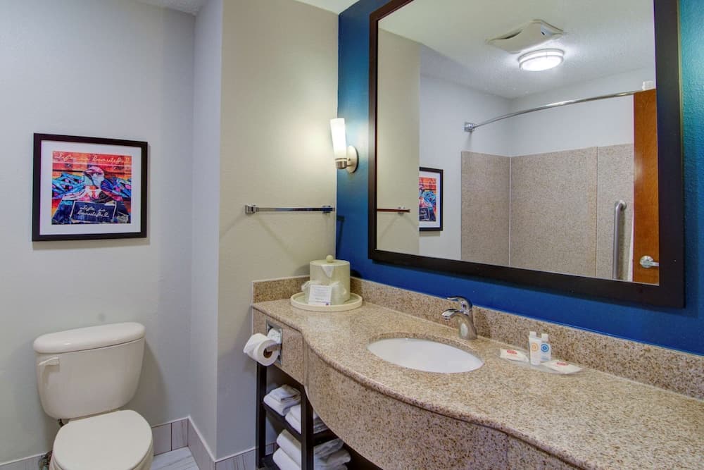 Comfort Suites Airport gallery photo in Newport News, VA — image 24