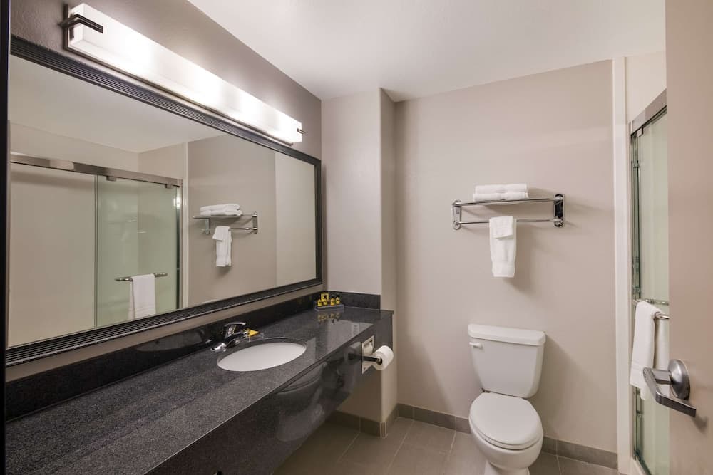 Best Western Plus Killeen/Fort Cavazos Hotel & Suites gallery photo in Killeen, TX — image 5
