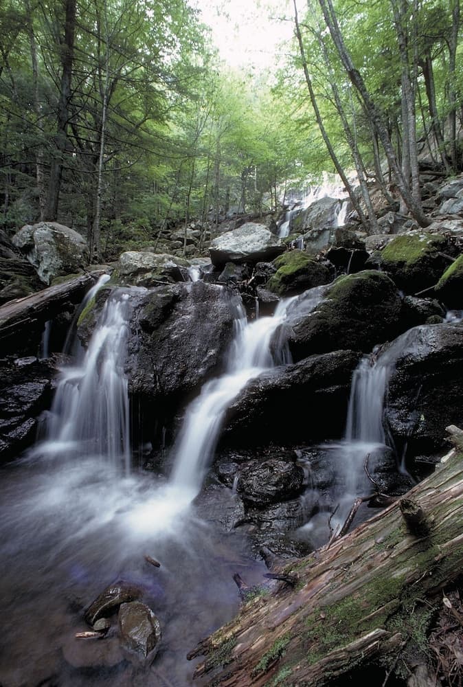 Big Meadows Lodge gallery photo in Luray, VA — image 43