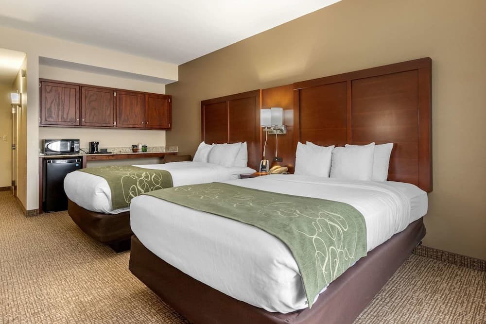 Comfort Suites Johnson City near University gallery photo in Johnson City, TN — image 48