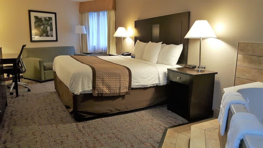 Baymont by Wyndham Belleville Airport Area property views in Belleville, MI — gallery photo 3