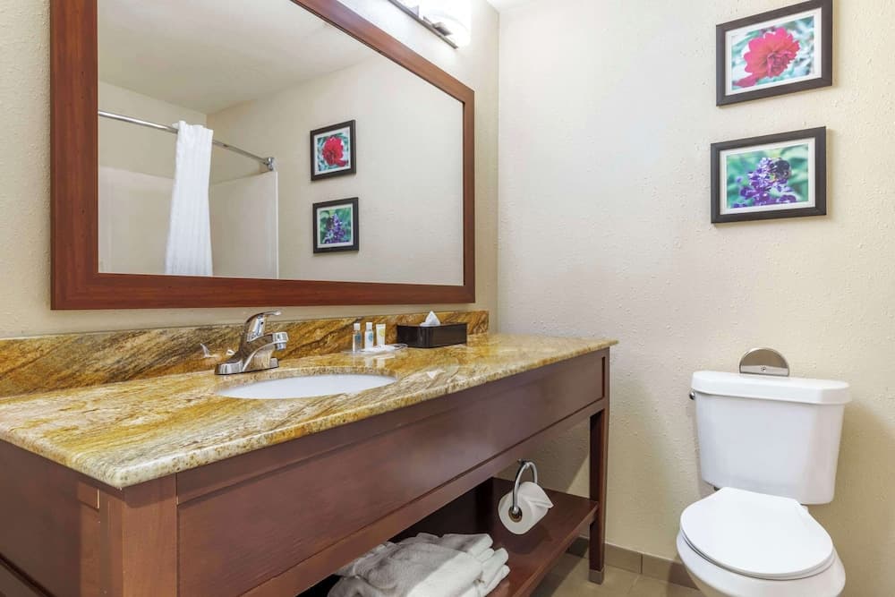 Comfort Inn & Suites Temple - Medical Center gallery photo in Temple, TX — image 48