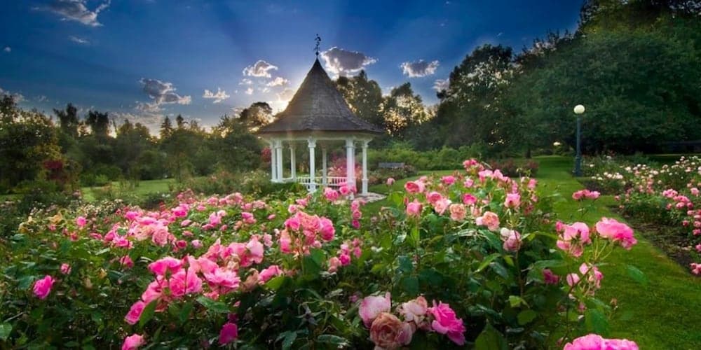 The Grand Hotel - Salem gallery photo in Salem, OR — image 20