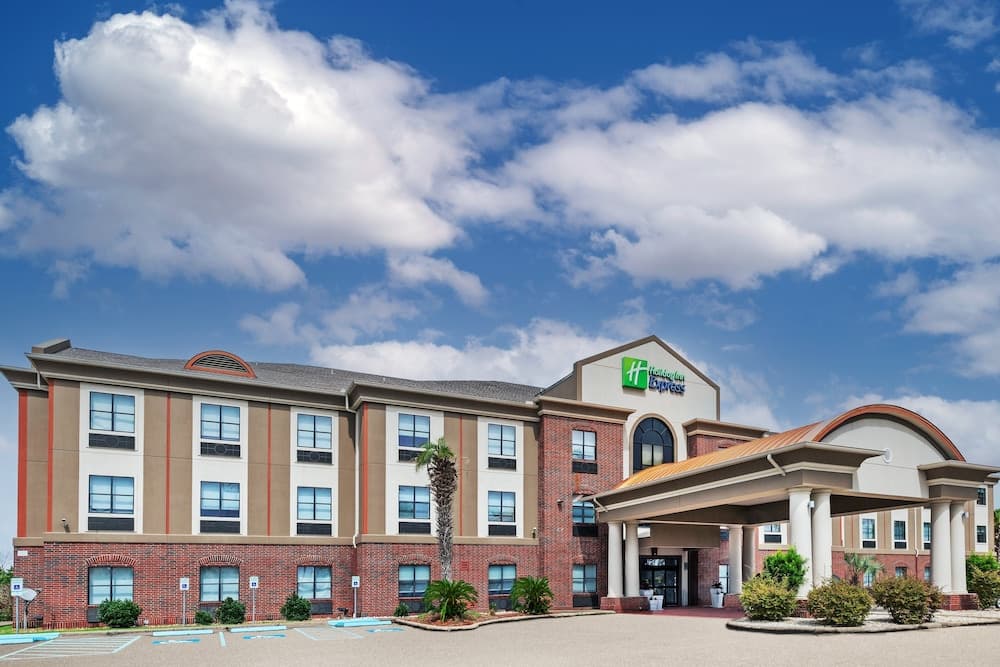 Holiday Inn Express Hotel & Suites VIDOR SOUTH by IHG gallery photo in Vidor, TX — image 40