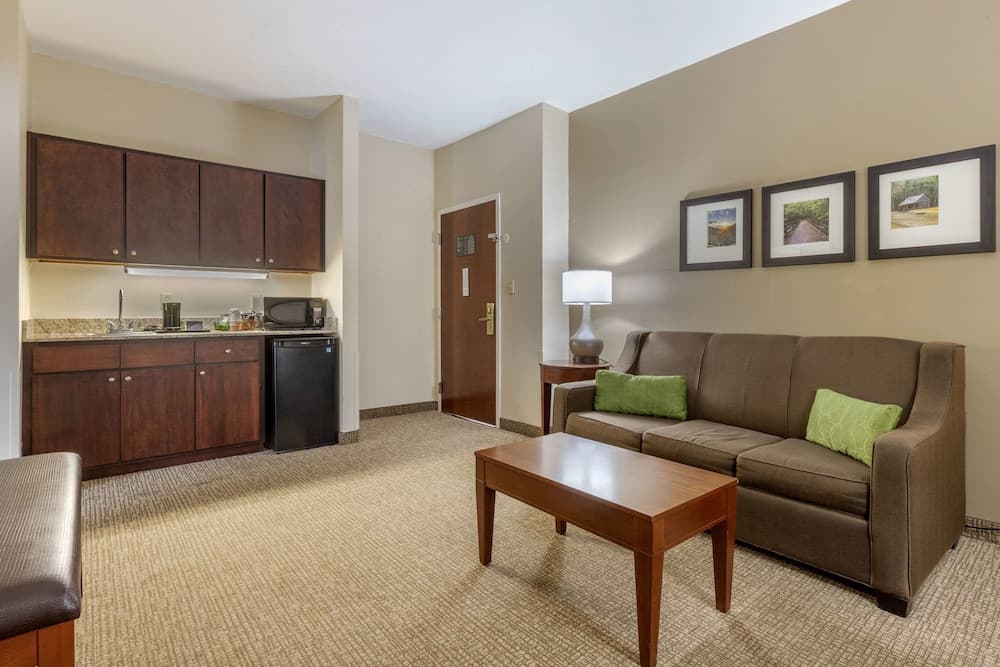 Comfort Suites Johnson City near University gallery photo in Johnson City, TN — image 20