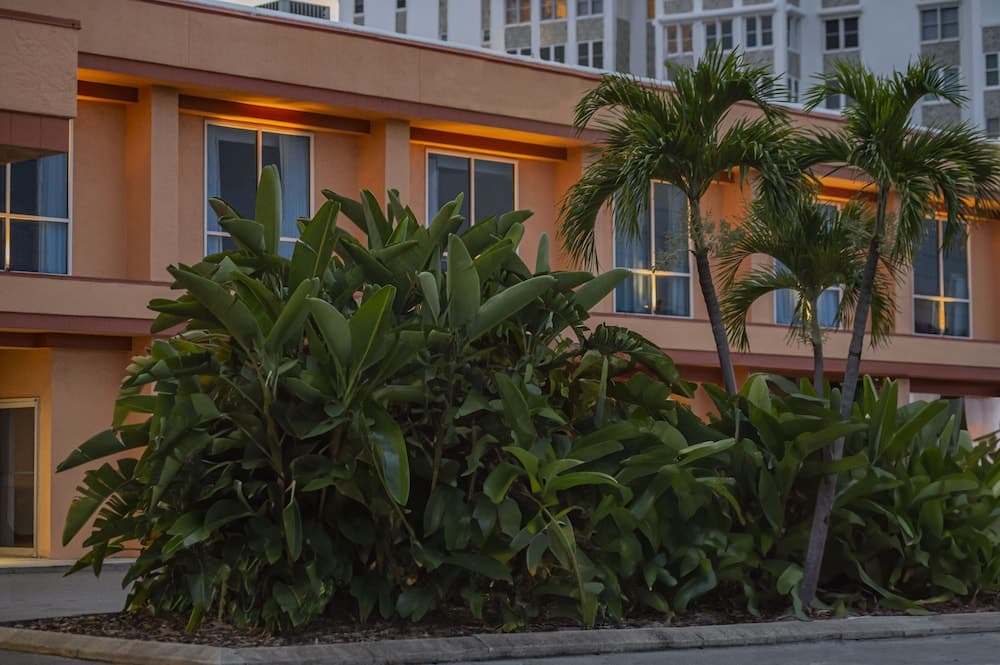 Dolphin Beach Resort — hotel in St. Pete Beach, Florida