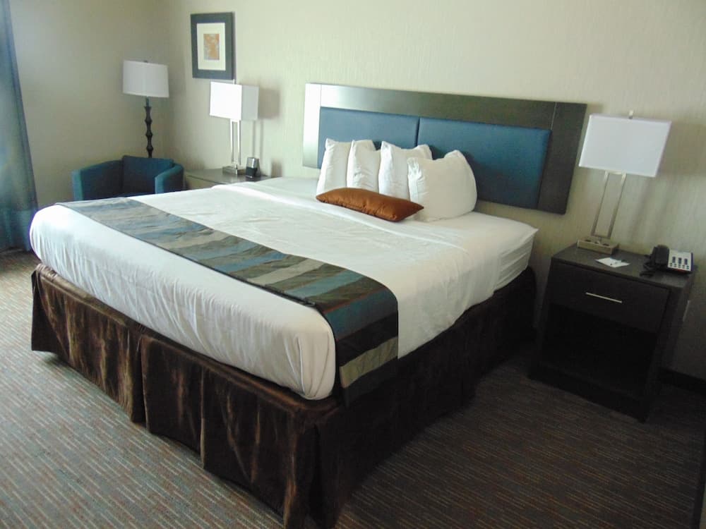 Wingate by Wyndham Lubbock gallery photo in Lubbock, TX — image 32