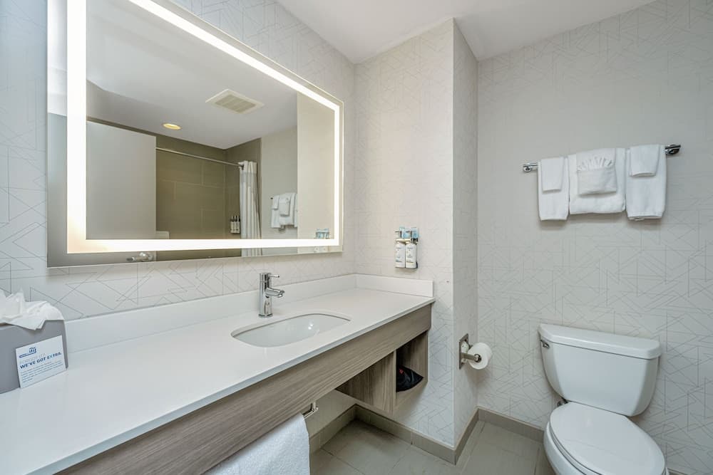 Holiday Inn Express & Suites Charleston Arpt-Conv Ctr Area gallery photo in North Charleston, SC — image 61
