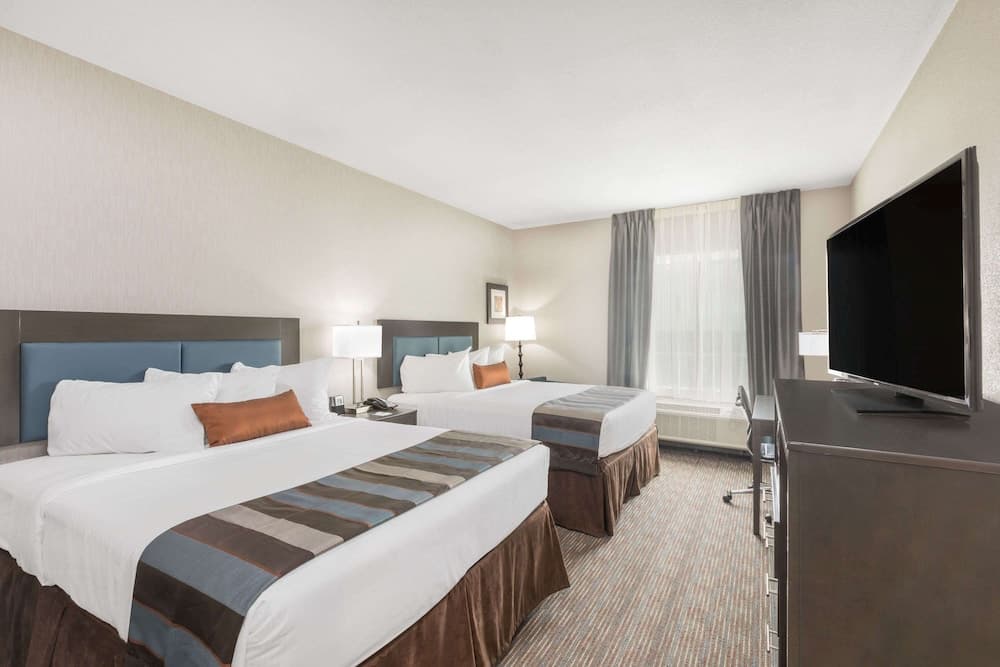 Wingate by Wyndham Lubbock gallery photo in Lubbock, TX — image 35