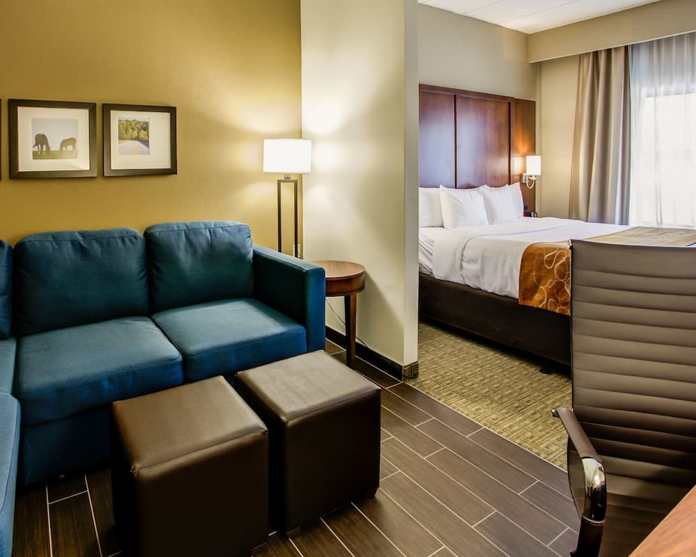 Comfort Suites Georgetown interior in Georgetown, KY — gallery photo 2