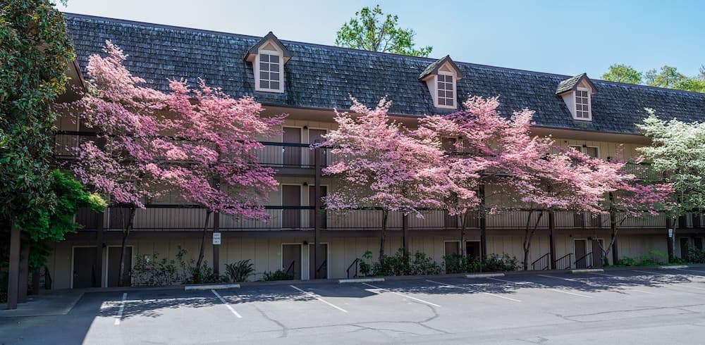 Riverside Inn gallery photo in Grants Pass, OR — image 32