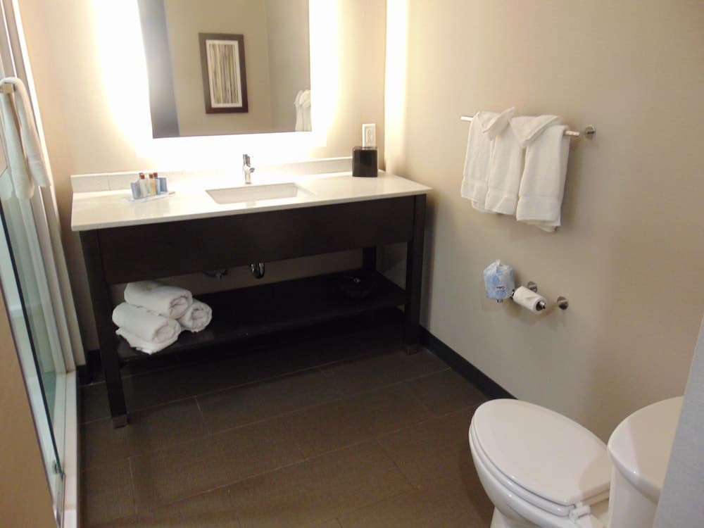 Wingate by Wyndham Lubbock gallery photo in Lubbock, TX — image 6