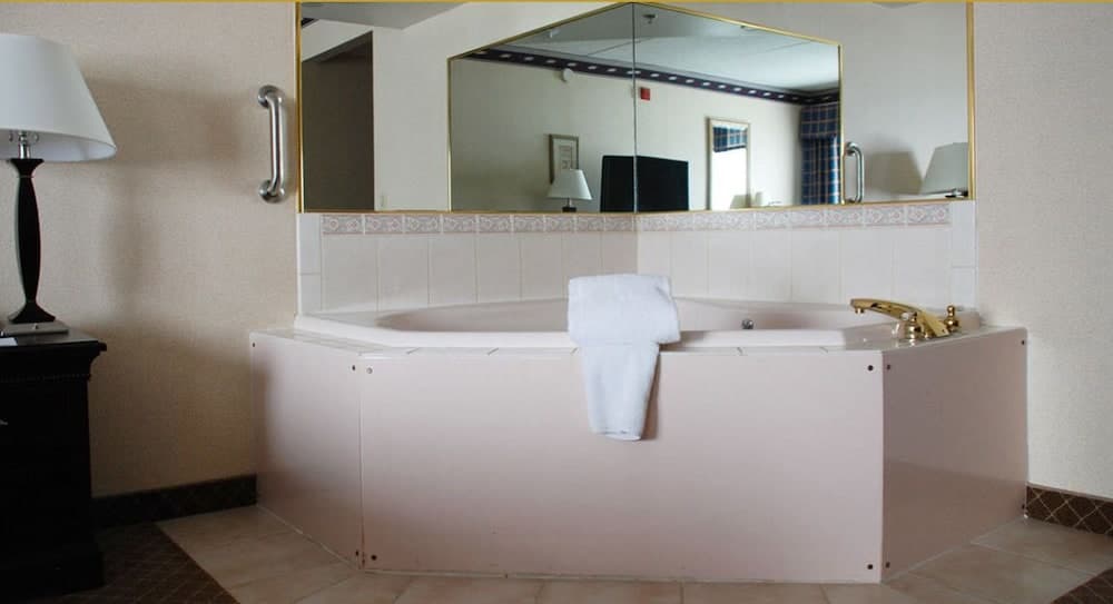 The Plaza Hotel & Suites Winona gallery photo in Winona, MN — image 38