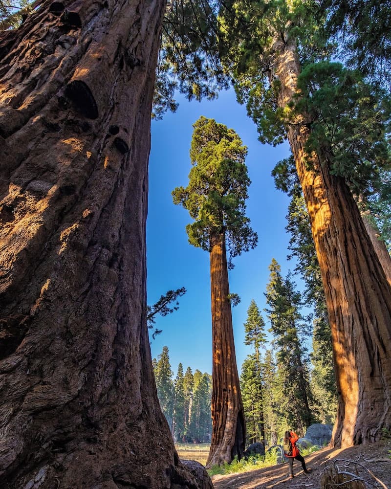 John Muir Lodge property views in Hume, CA — gallery photo 3