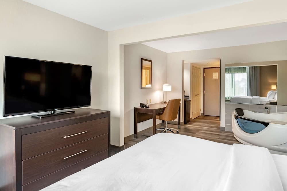 Comfort Inn & Suites Grand Blanc/Flint gallery photo in Grand Blanc, MI — image 28
