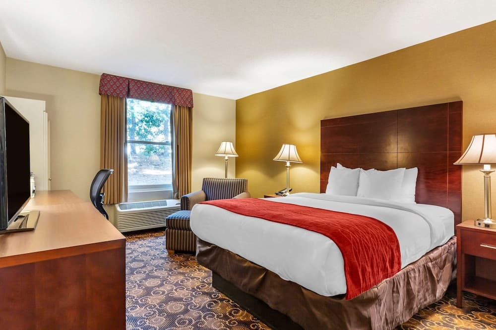 Comfort Inn Rockland - Boston gallery photo in Rockland — image 8