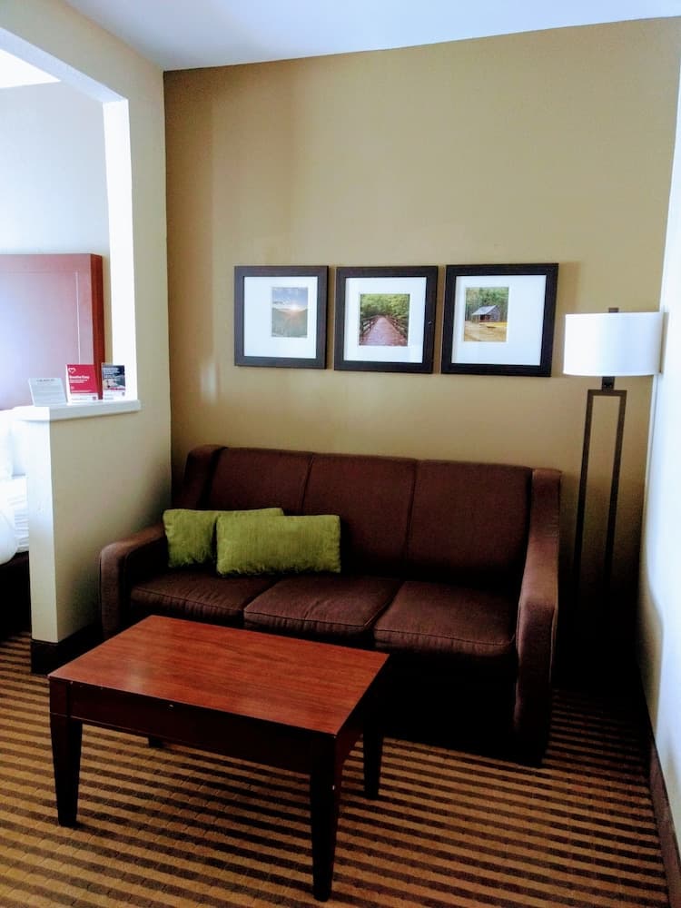 Comfort Suites Johnson City near University interior in Johnson City, TN — gallery photo 2