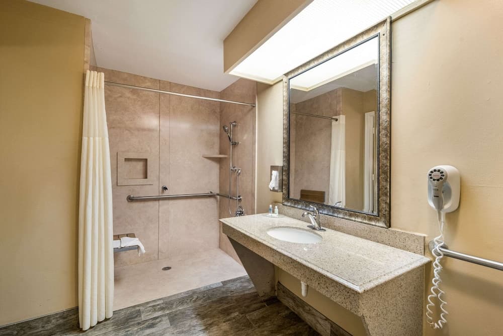 Quality Inn & Suites Garland - East Dallas gallery photo in Garland, TX — image 26