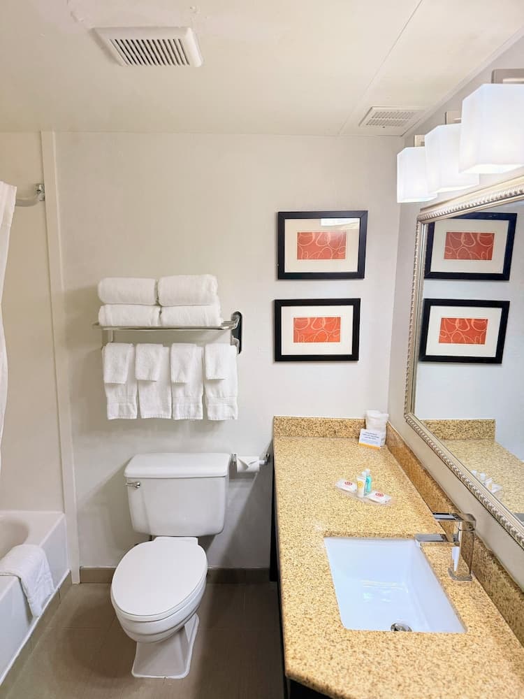 Comfort Suites Near Casinos Norwich-Uncasville CT gallery photo in Norwich, CT — image 33