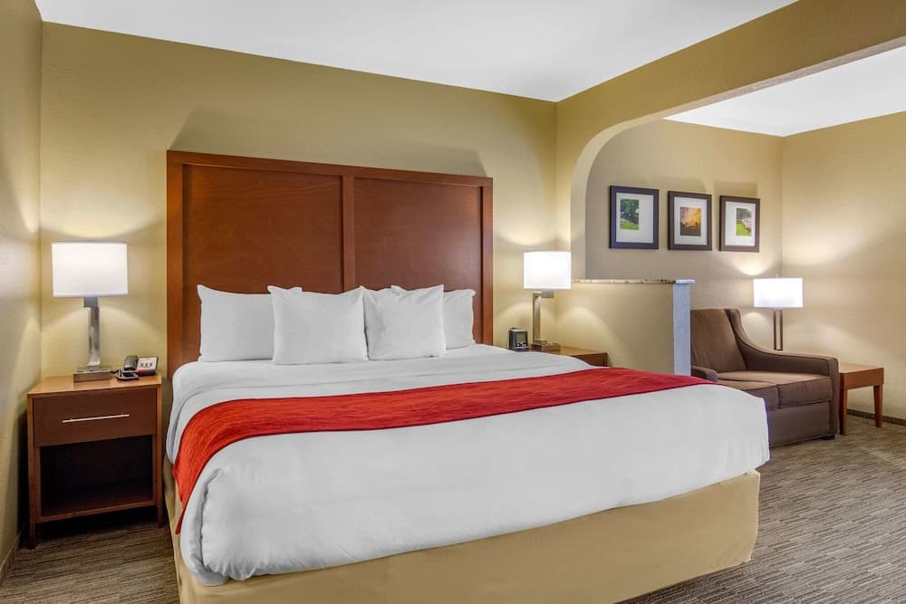 Comfort Inn & Suites LaGrange East gallery photo in LaGrange, GA — image 7