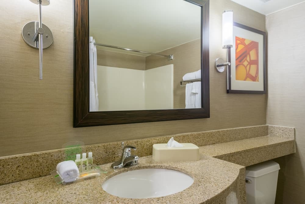Holiday Inn Harrisburg - Hershey Area, I-81 by IHG gallery photo in Grantville, PA — image 4