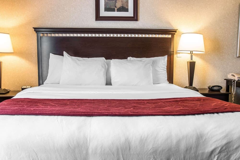 Comfort Suites Canton - Detroit gallery photo in Canton — image 33