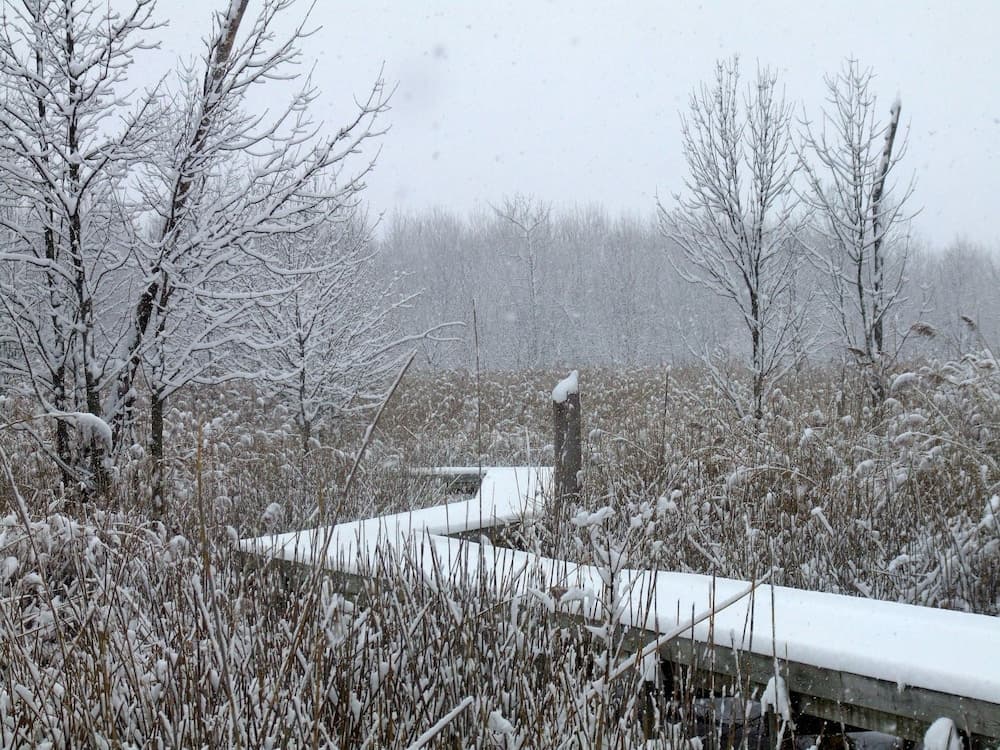 Maumee Bay Lodge and Conference Center gallery photo in Oregon, OH — image 46