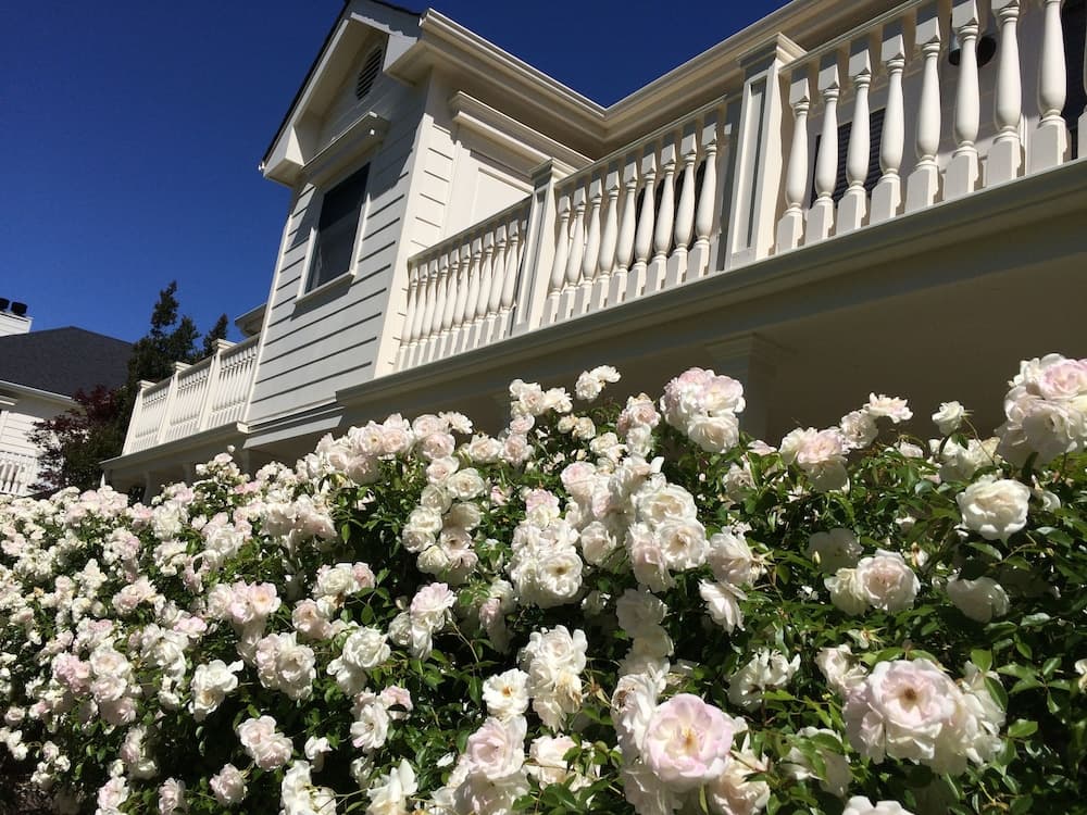 MacArthur Place Hotel & Spa gallery photo in Sonoma, CA — image 23